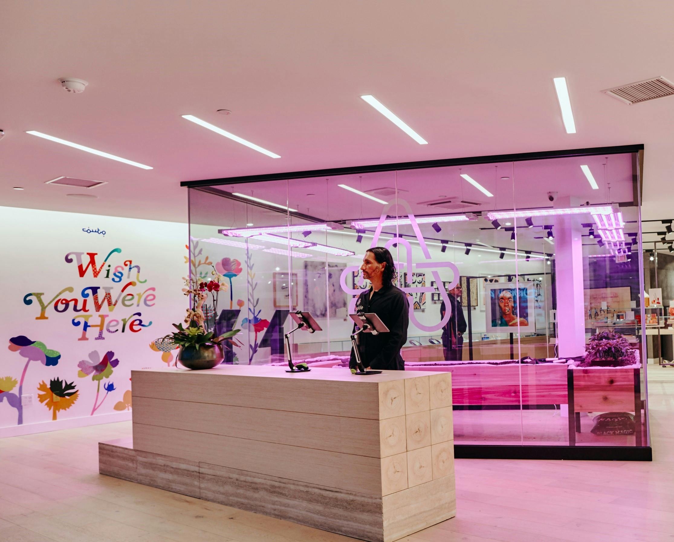 The Artist Tree West Hollywood Dispensary West Hollywood, CA